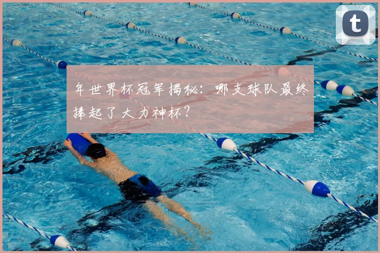 年世界杯冠军揭秘:哪支球队最终捧起了大力神杯?