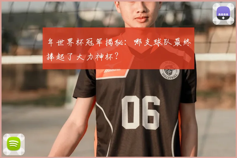 年世界杯冠军揭秘:哪支球队最终捧起了大力神杯?
