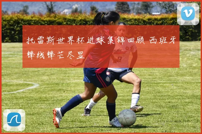 托雷斯世界杯进球集锦回顾 西班牙锋线锋芒尽显