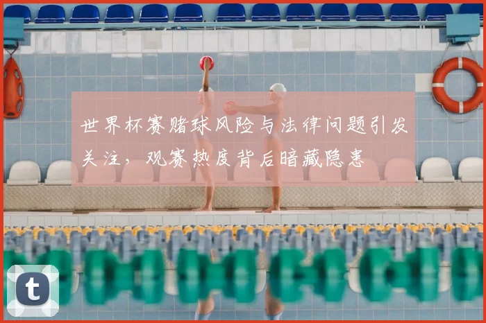 世界杯赛赌球风险与法律问题引发关注，观赛热度背后暗藏隐患