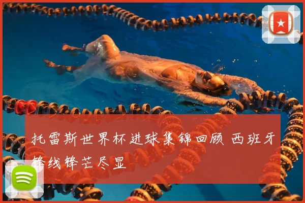 托雷斯世界杯进球集锦回顾 西班牙锋线锋芒尽显