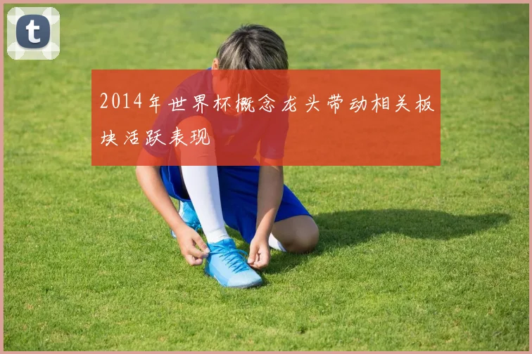 2014年世界杯概念龙头带动相关板块活跃表现