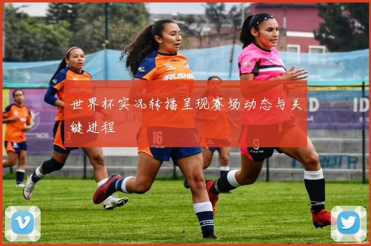世界杯实况转播呈现赛场动态与关键进程